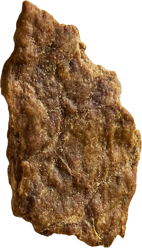 A close-up of a large brown rock with a jagged, textured surface.